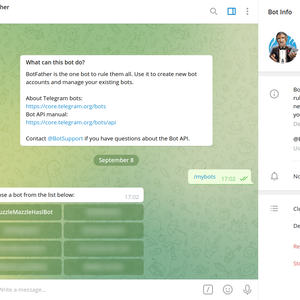 Vinted to Telegram Automation – Instant Alerts for New Listings